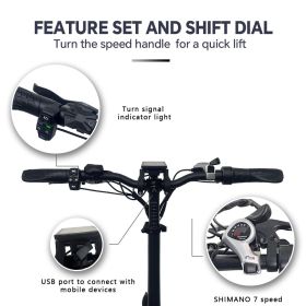 Fashion Simple Electric Bicycle (Color: Black, Style: 15AH)